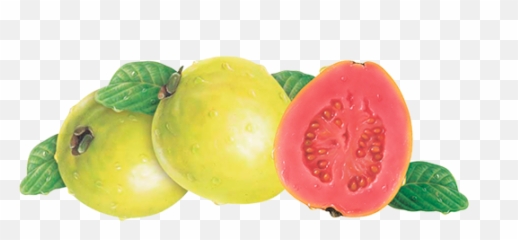 Download Hd Pink Guava - Strawberry Guava Transparent Png Goiaba Frutas Em Png,Guava Png
