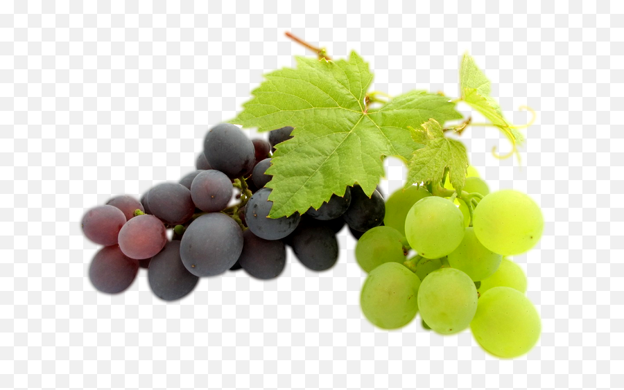 Transparent Clipart Image Grapes Png Background