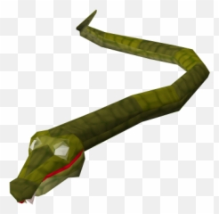 Pic Snake Png Transparent Background Free Download