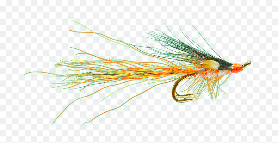 Recommended Salmon Flies For The Wye - Dyed Png,Flies Png