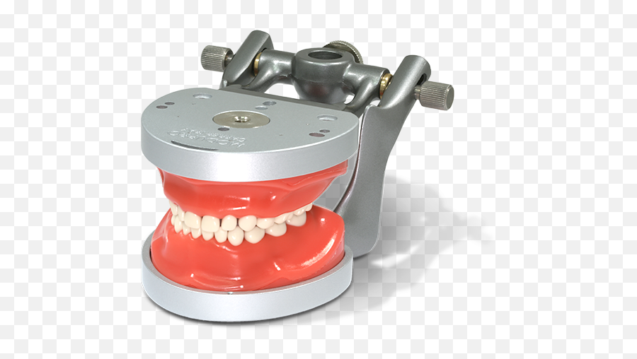 Acadental - Modupro Pedo W Articulator Bracket Png,Sharp Teeth Png