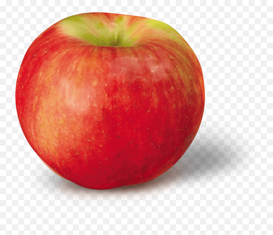 Apple Varieties Nj And Ny - Demarest Farms Orchard Farm Zestar Apples Png,Apple Png Transparent