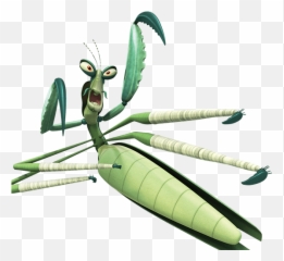 Mantis - Kung Fu Panda Praying Mantis Png,Kung Fu Panda Png