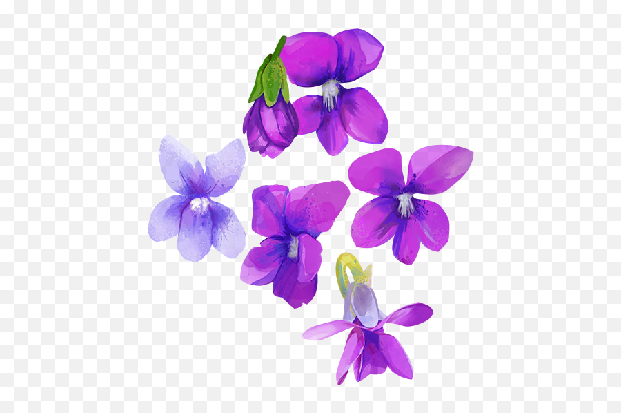 Download Go To Image - Watercolor Purple Flower Transparent Lovely Png,Purple Flower Transparent