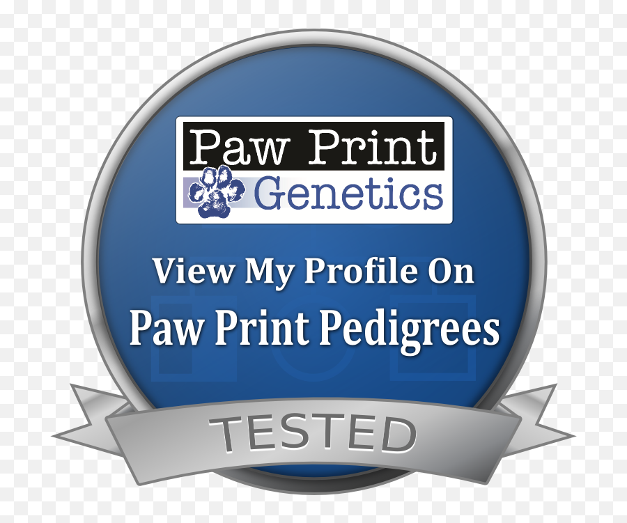 Paw Print Genetics Logo Transparent - Dog Png,Blue Paw Print Logos