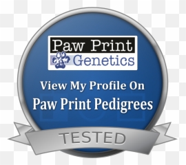 Paw Print Genetics Logo Transparent - Dog png
