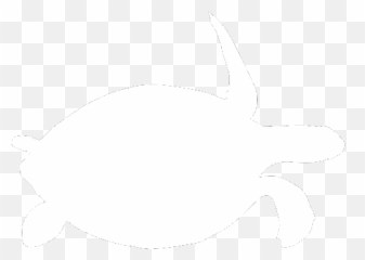Sea Turtle Png - Latest Shark Encounters Kempu0027s Ridley Sea Illustration,Ridley Png