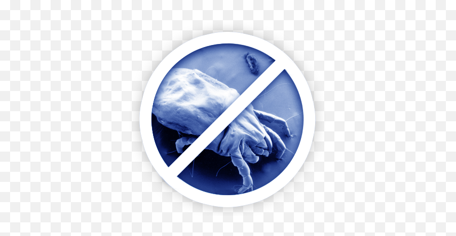 Air Duct Cleaning Dryer Vent - House Dust Mite Png,Air Duct Icon