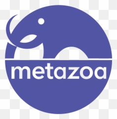 Update User Story U2013 Metazoa - Language png