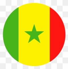 Senegal U2013 Beach Soccer Worldwide - Senegal Flag Country Png,Un Flag Icon