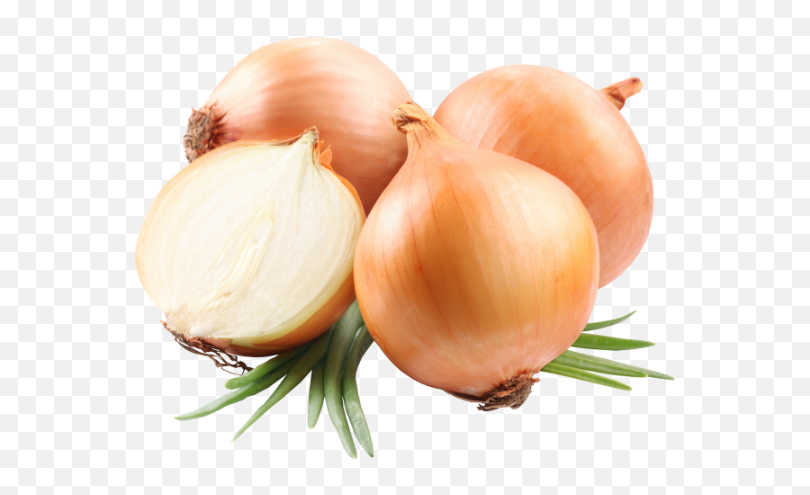 Onion Png Free Download 5 - Onion Png,Onion Png