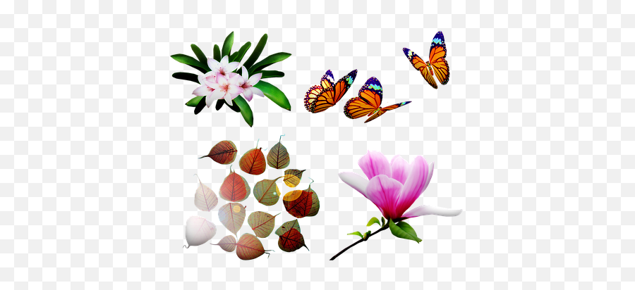 1000 Free Pink Butterfly U0026 Images - Flores Y Hojas En Imágenes Png,Pink Butterfly Icon