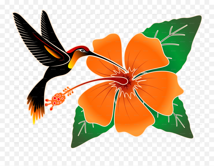 Hummingbird Png - Orange Hibiscus And Hummingbirdpng Portable Network Graphics,Humming Bird Png
