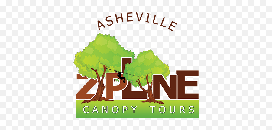 Asheville Zipline Canopy Adventure - Adventure Center Of Tree Png,Tree Canopy Png