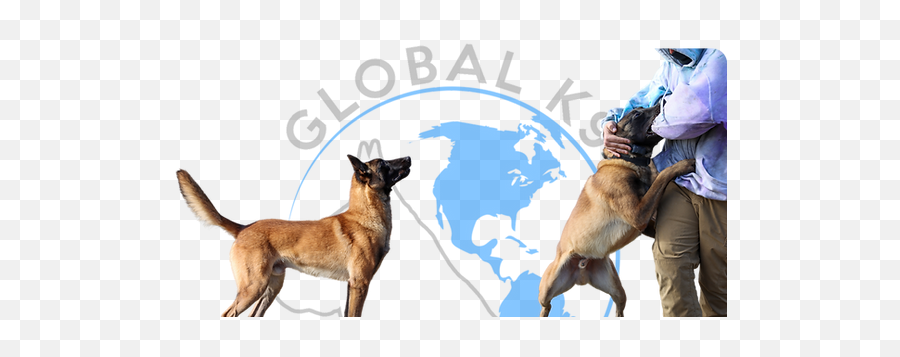 Meet Icon Global K9 - Collar Png,Google Meet Icon