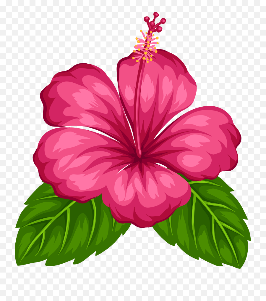 Hawaiian Aloha Tropical - Flower Clipart Png,Hawaiian Flowers Png