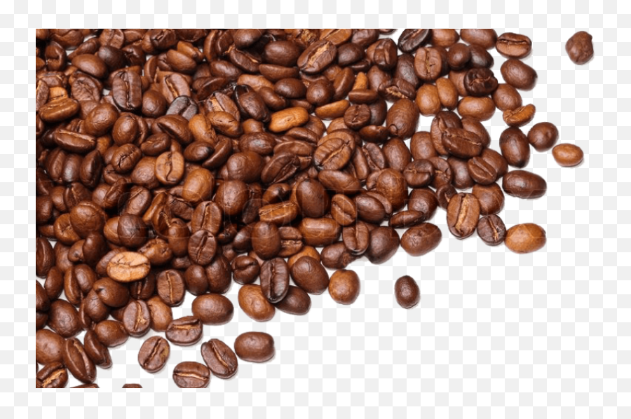 Coffee Beans Png Images Transparent - Coffee Bean Transparent Background,Coffee Beans Transparent