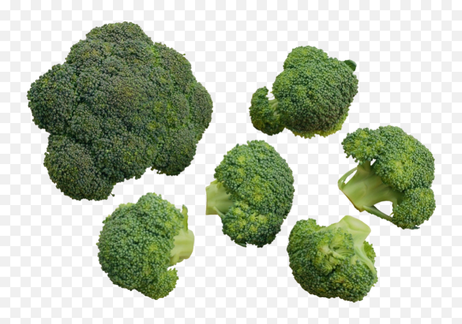 Download Free Png Broccoli - Backgroundtransparent Dlpngcom Cauliflower,Broccoli Transparent