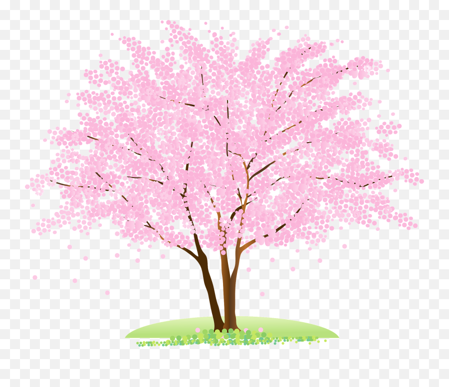 Cherry Blossoms Tree Clipart Free Download Creazilla - Transparent Cherry Blossom Tree Graphic Png,Cherry Blossom Tree Png