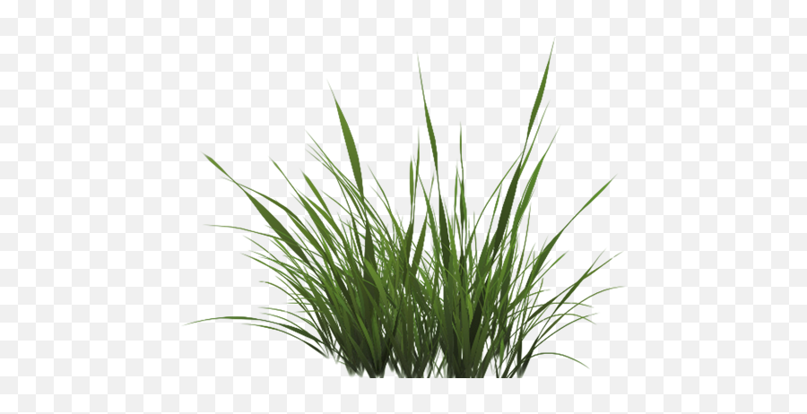 Learnopengl - Blending Alpha Grass Texture Png,Grass Top View Png