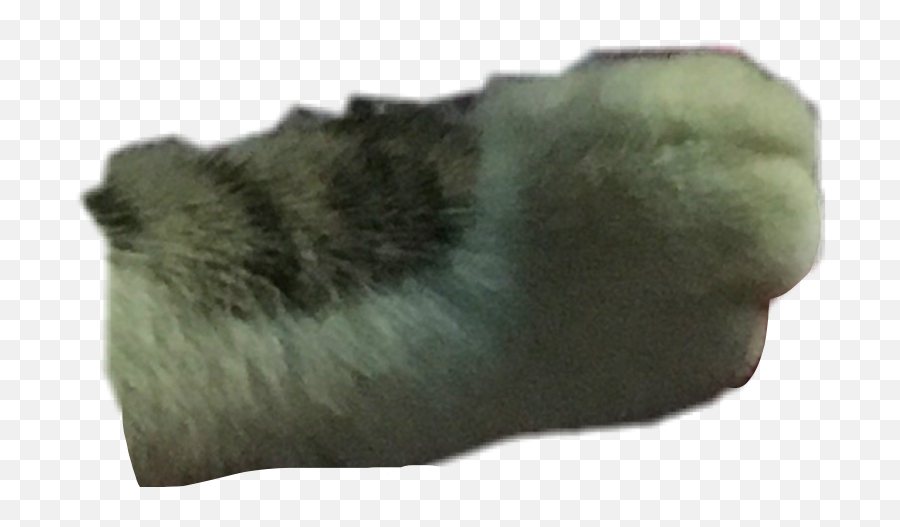 Cat Pawwcatpawcatpawialmosttypedcatlawimcrying - Igneous Rock Png,Knife Cat Meme Transparent