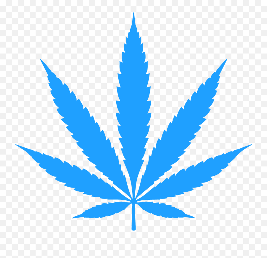 Get Ready Something Really Cool Is Coming Soon - Marijuana Plant Png,Pot Leaf Png