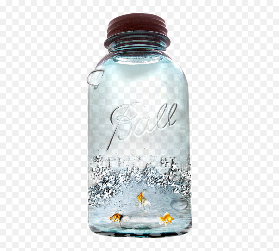 Fish In Bottle Png Photo Free Download - Poisson Dans Pot Masson,Jar Png