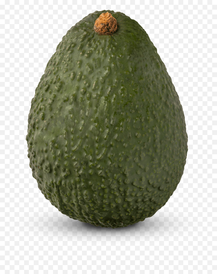 California - Avocado High Definition Png,Avocado Transparent