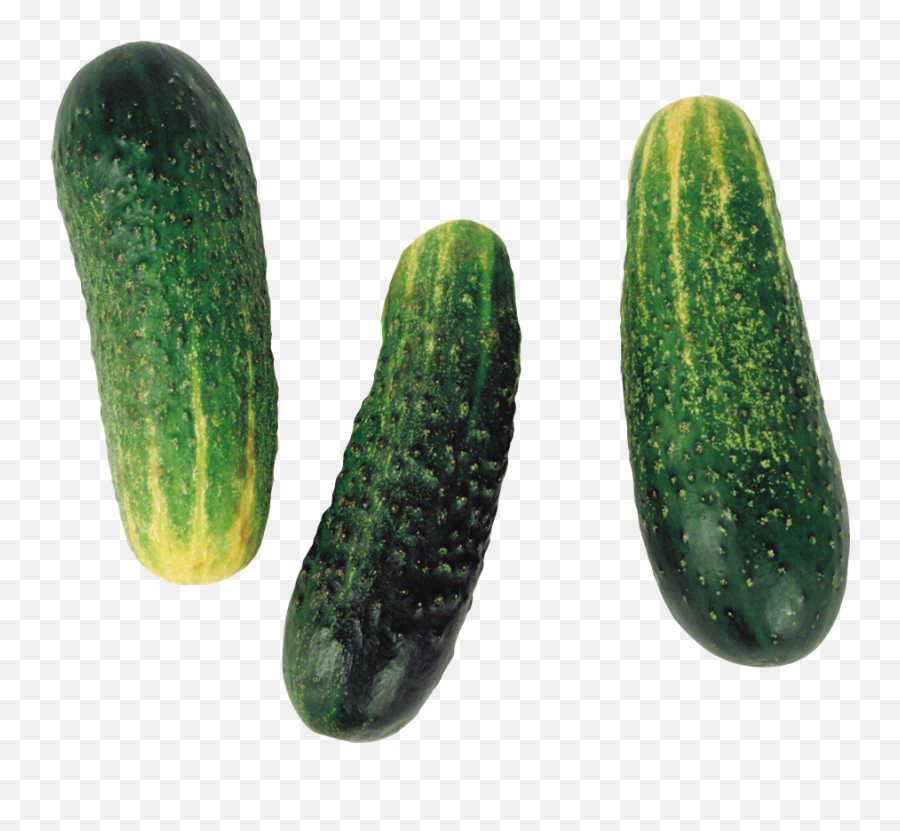 Cucumber Transparent File Png