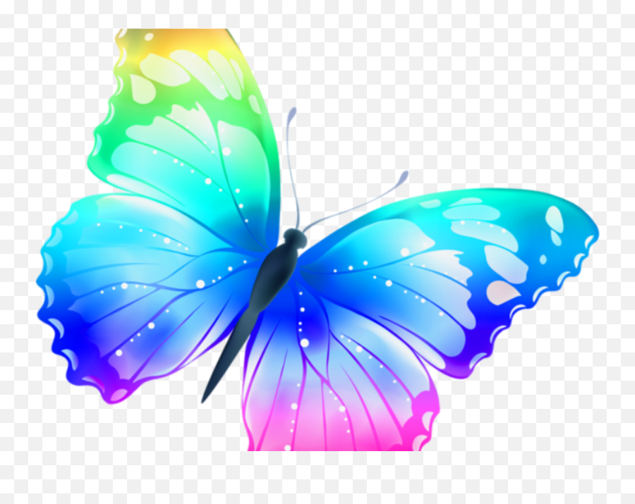 Borboletas - Borboleta Bonita Colorida 8 Png Imagens E Rainbow Colour Butterfly,8 Png