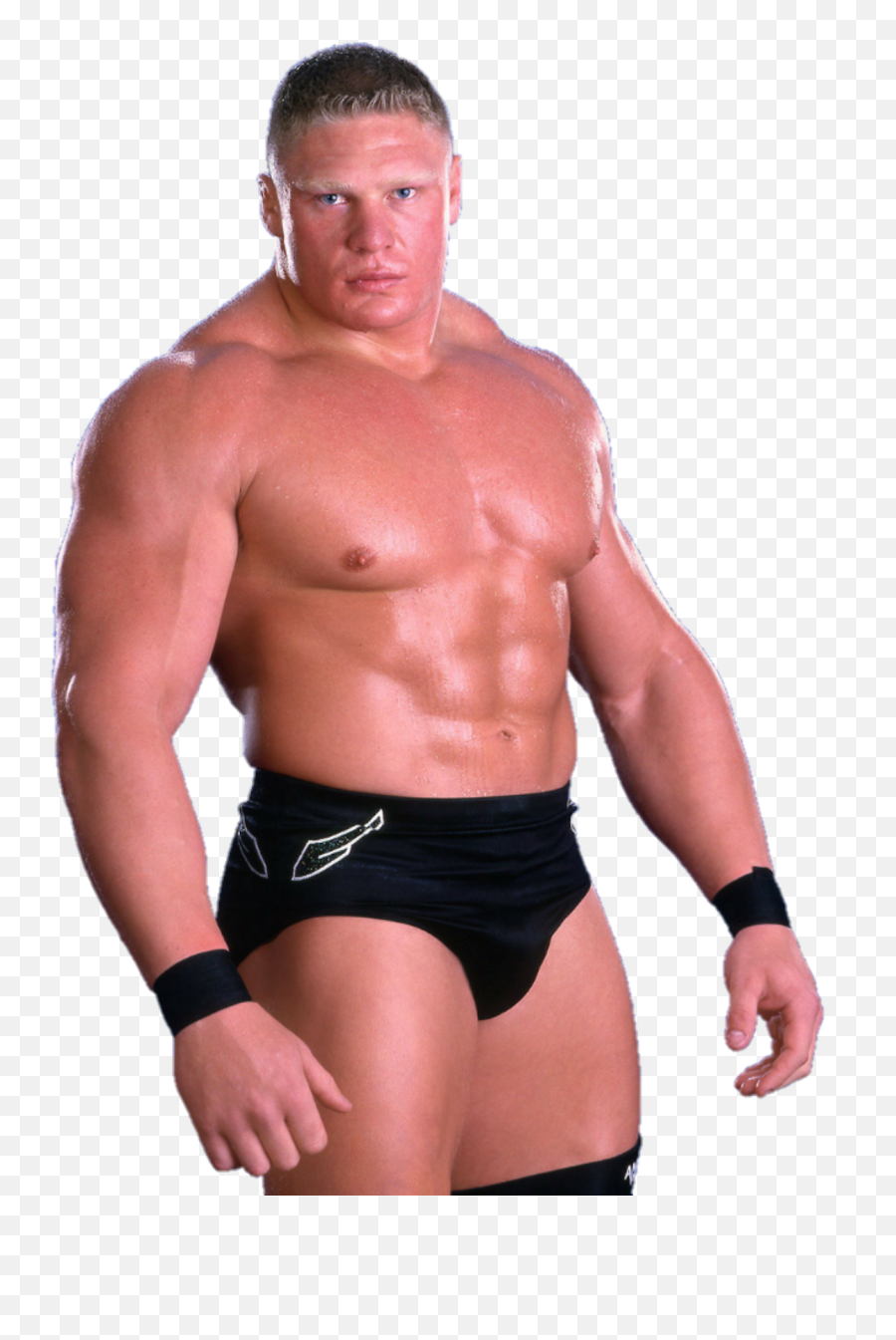 Brock Lesnar - Wwe Image Id 150410 Image Abyss Brock Lesnar Wwe 2003 Png,Brock Lesnar Png
