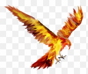 Phoenix Bird Tattoo Sketch Drawing - Phoenix Png Download Fawkes The Phoenix Drawing,Phoenix Png