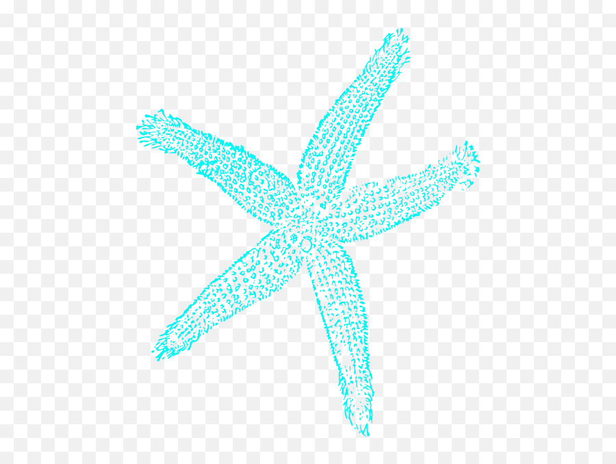 Starfish - Starfish Png,Transparent Backgrounds