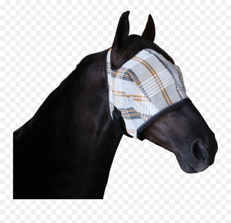 Post Surgical Recovery Fly Mask - Fly Mask Png,Horse Mask Png