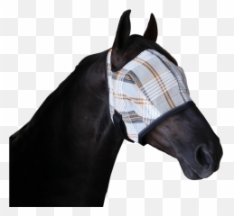 Post Surgical Recovery Fly Mask - Fly Mask Png,Horse Mask Png