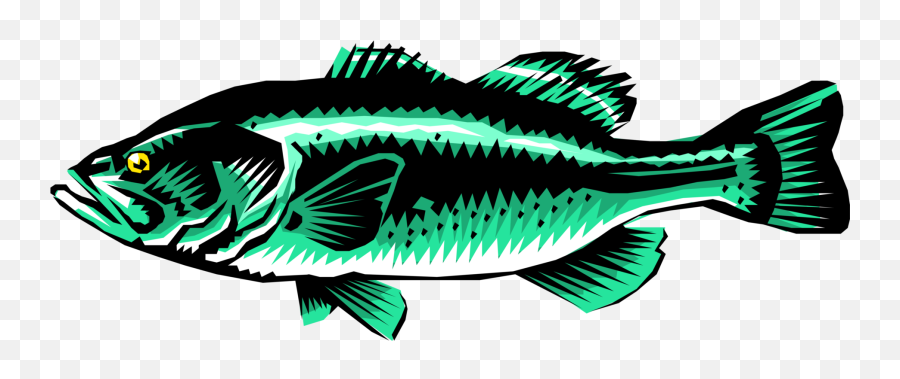 Largemouth Bass - Vector Image Fish Products Png,Largemouth Bass Png