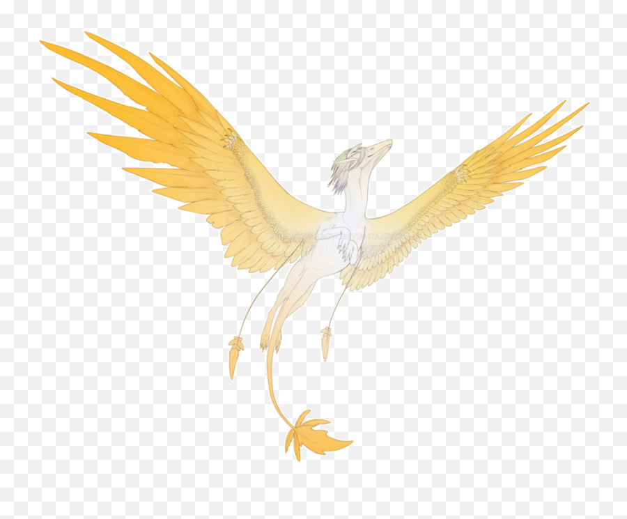 Golden Wings Png Download Image Arts - Ciconiiformes,Gold Wings Png