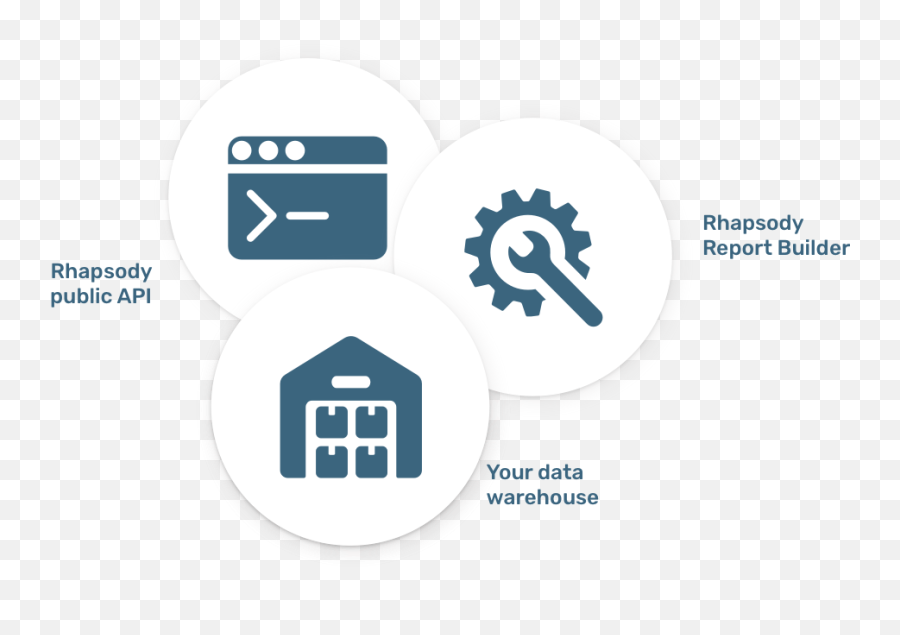 Why - Petabyte Analytics Language Png,Rhapsody Icon