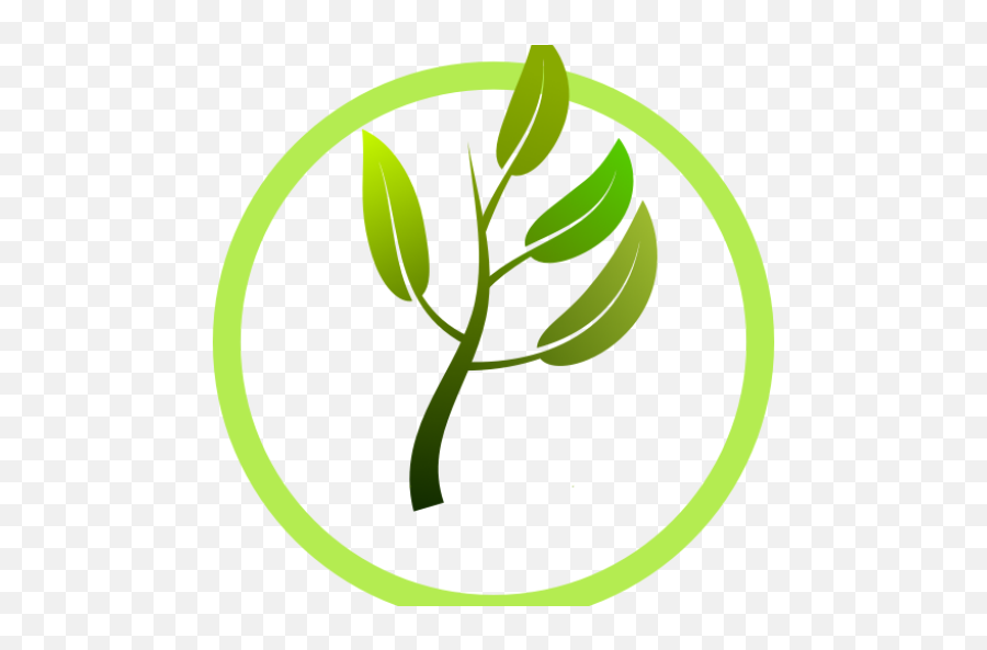 Cropped - Icon500png Fundaselva Transparent Plant Logo Png,Icon 500