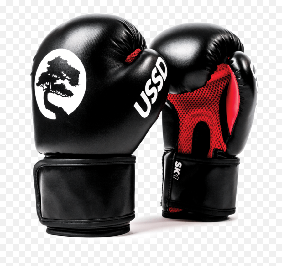 Ussd Sk1 Sparring Gloves Series 1 - Sparring Png,Boxing Gloves Png