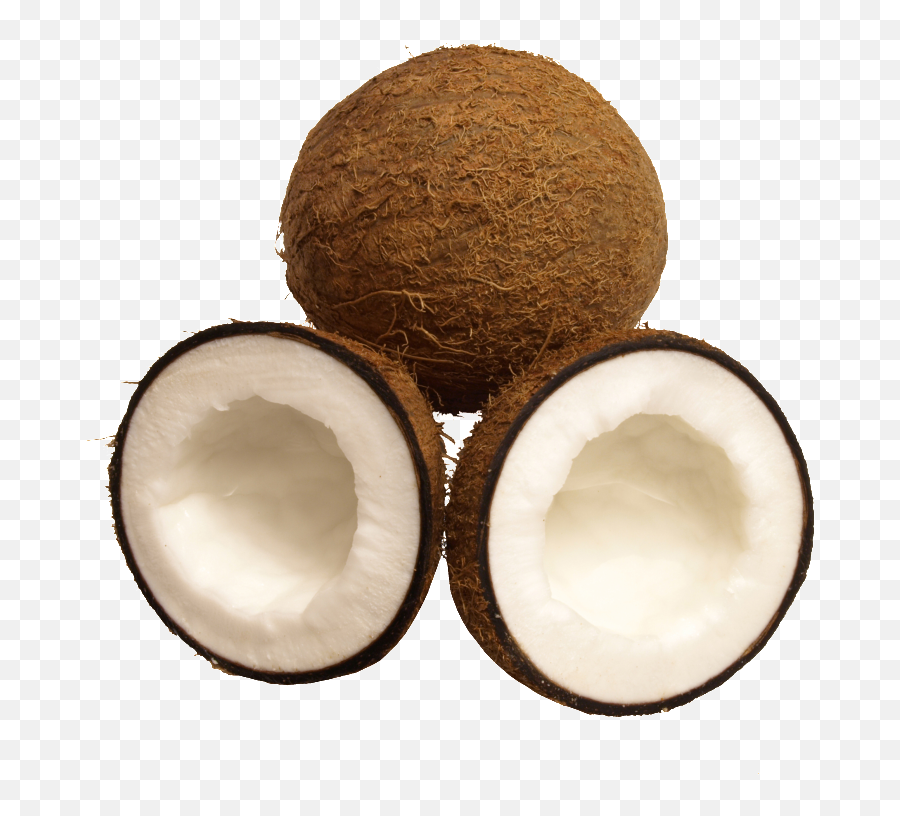 Download Tropical Fruit Coconut Png - Fruit,Coconut Png