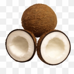 Download Tropical Fruit Coconut Png - Fruit,Coconut Png