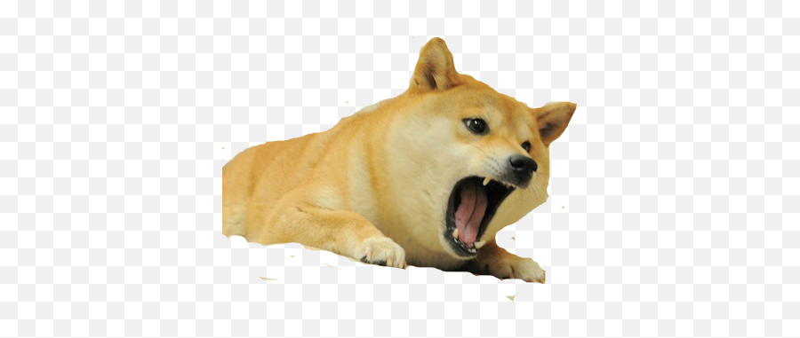 Doge Transparent Png 3 Image - Transparent Background Angry Doge Png,Doge Transparent Background