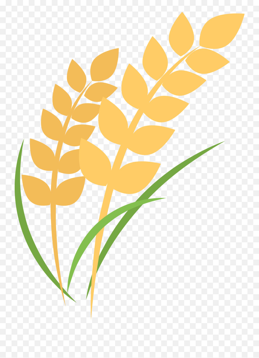 Download Open - Cartoon Rice Plant Png,Plant Cartoon Png