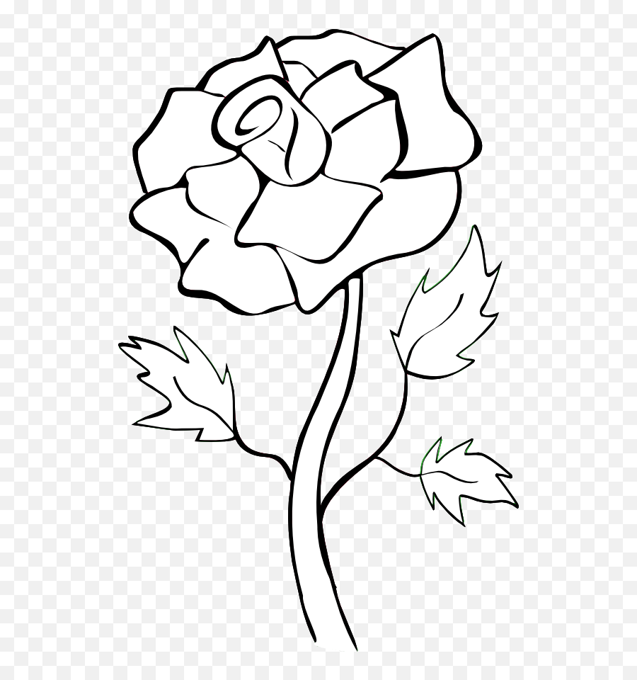 Library Of White Rose Svg Freeuse Png Outline - White Rose Png Cartoon,White Roses Png