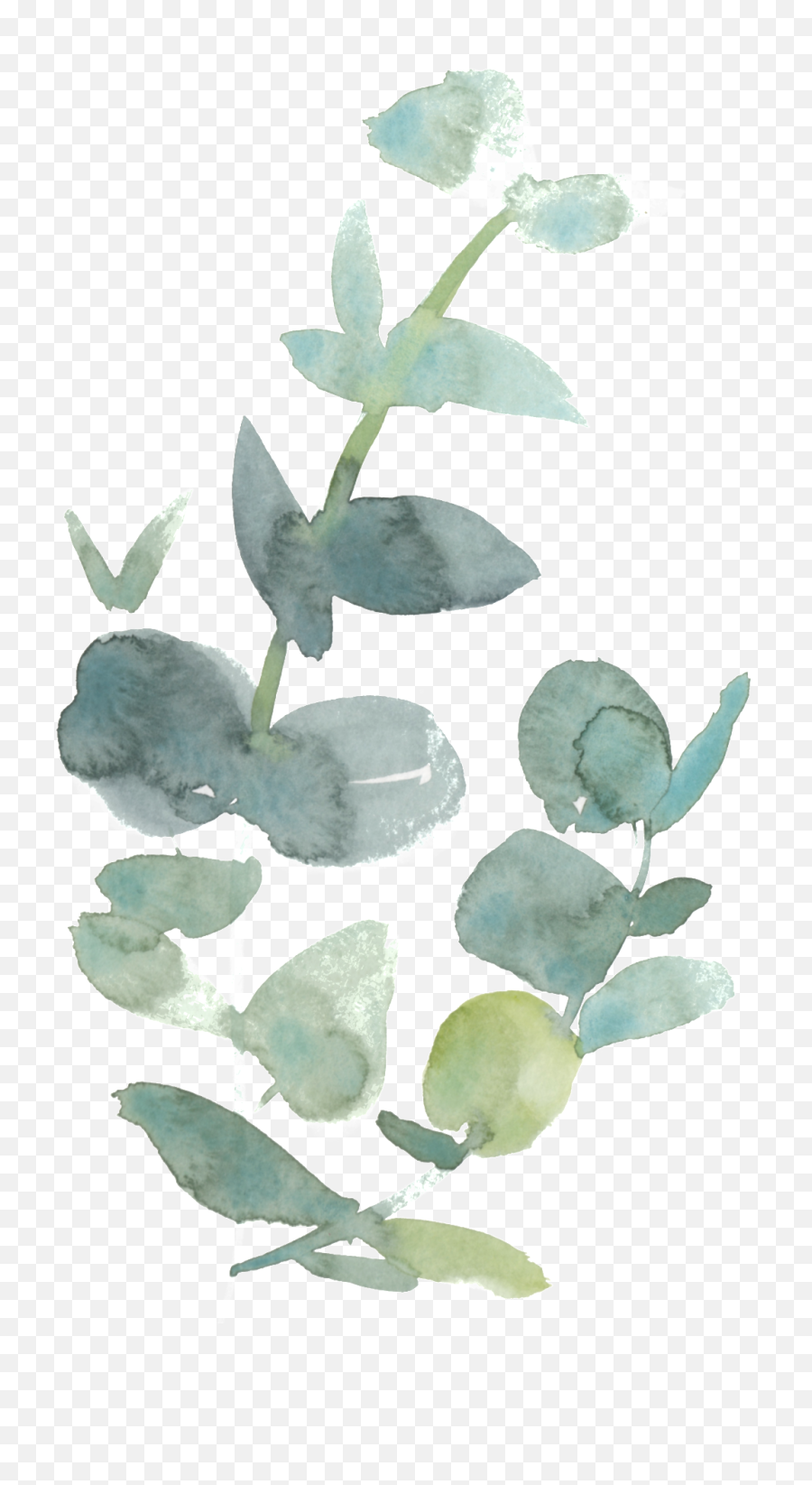 Fresh Watercolor Leaves Transparent Decorative - Peach Coral Eastern Prickly Pear Png,Watercolor Leaves Png