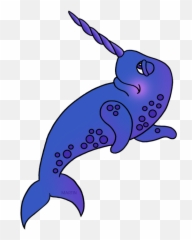 Download Narwhal Png Image With No - Clip Art,Narwhal Png