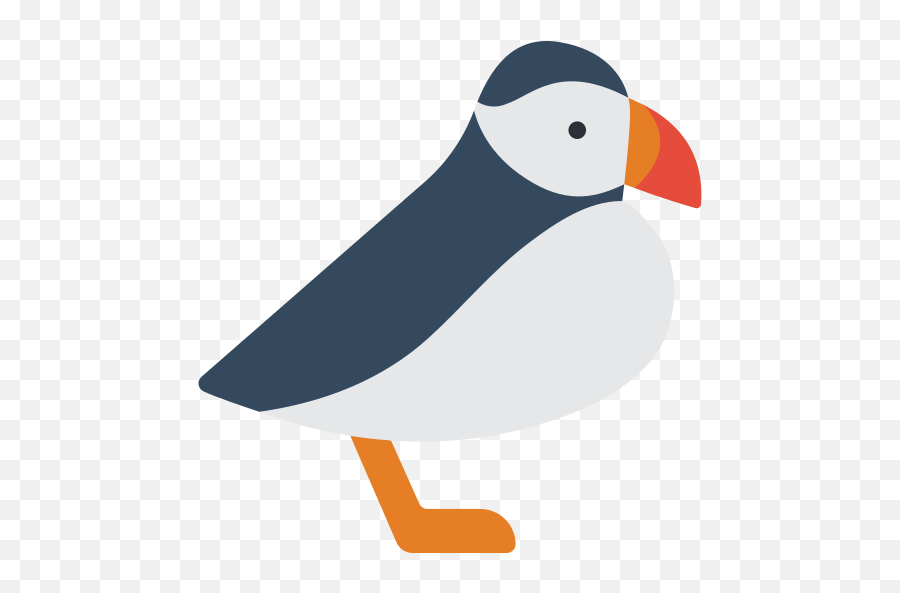 Puffin - Atlantic Puffin Png,Puffin Png