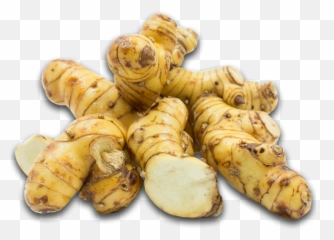 Thai Ginger Supplierwholesale Manufacturer In - Thai Ginger Png,Ginger Png