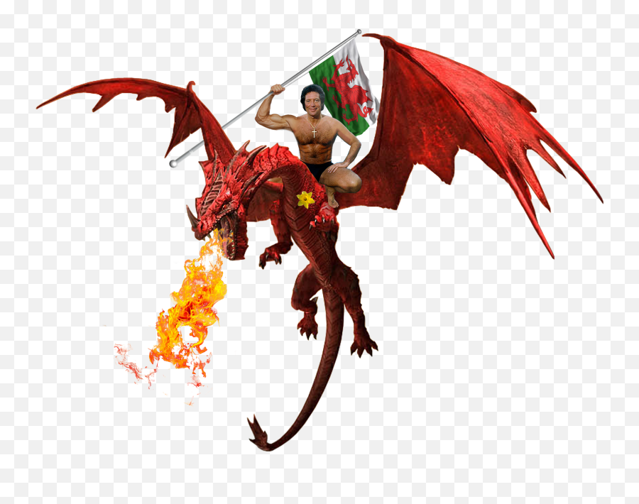 Tom Jones - Flag With Dragon Png,Fire Dragon Png